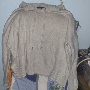 American Eagle Hooded Sweater